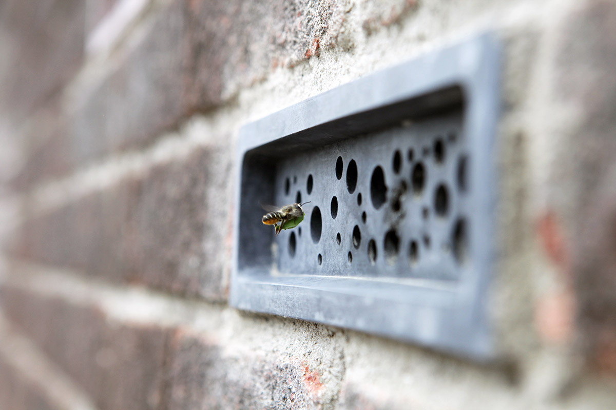 Bee Bricks: aposta de sustentabilidade e apoio à diversidade na cidade de Brighton
